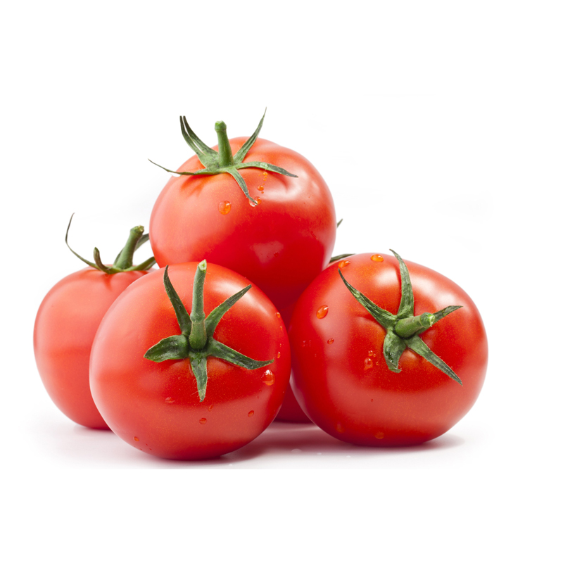 Tomato