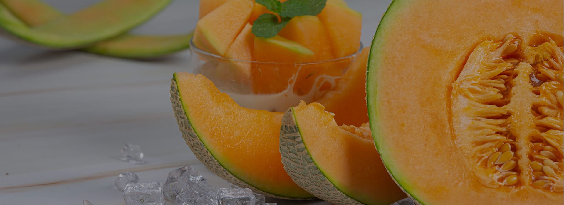 melon sodea fruit Tunisie